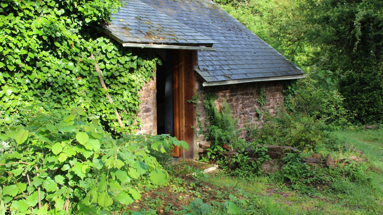 Photo of Outdoor in Paimpont