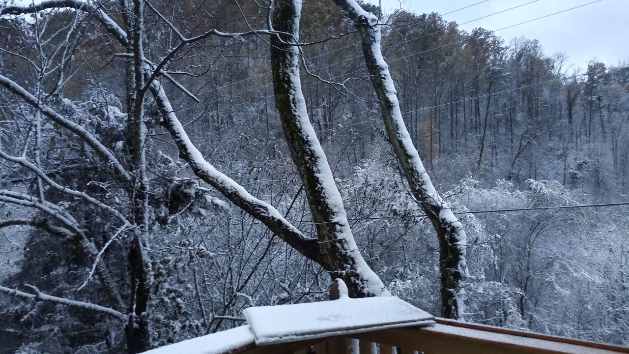 Photo of Outdoor in Corryton