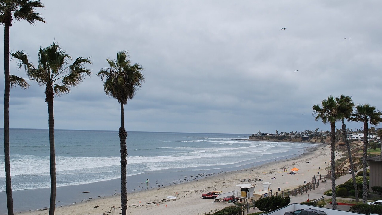 Photo of Others in North Pacific Beach