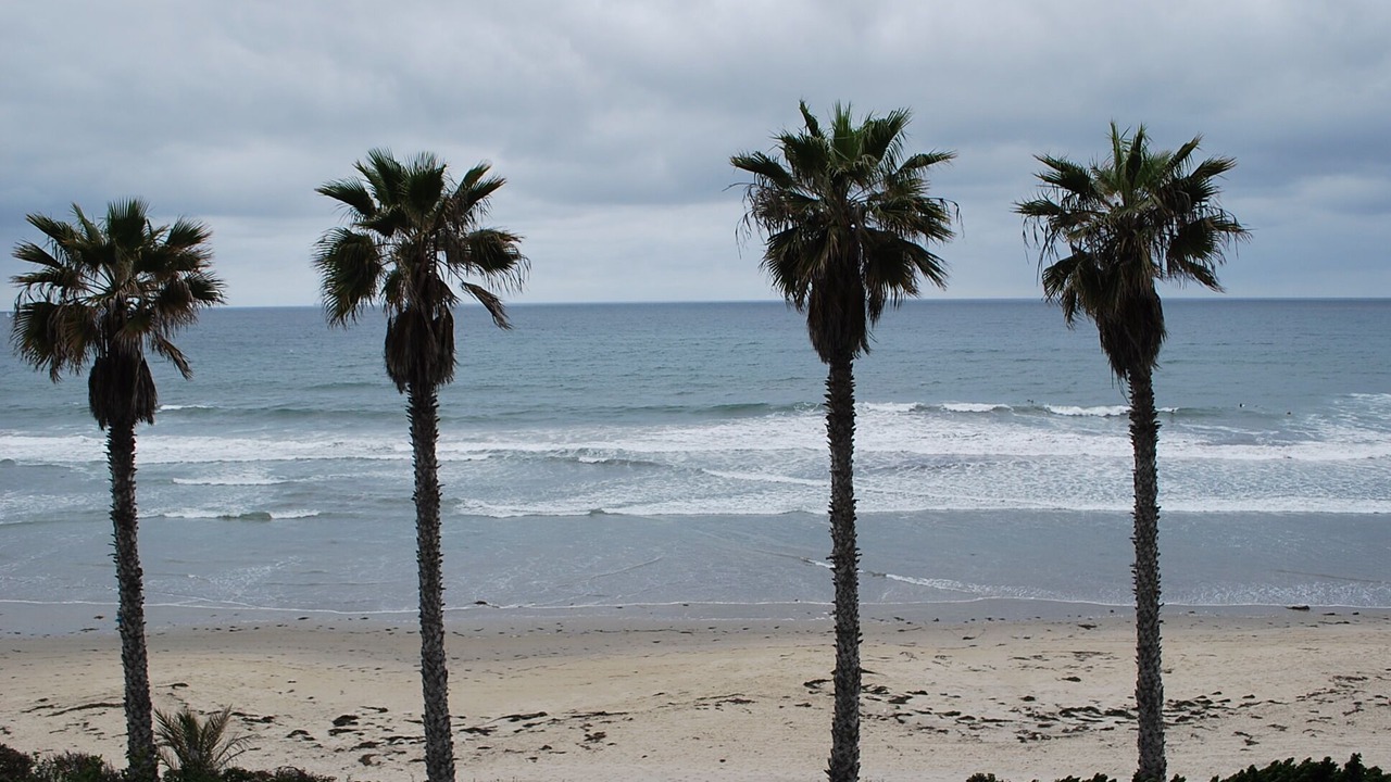 Photo of Others in North Pacific Beach