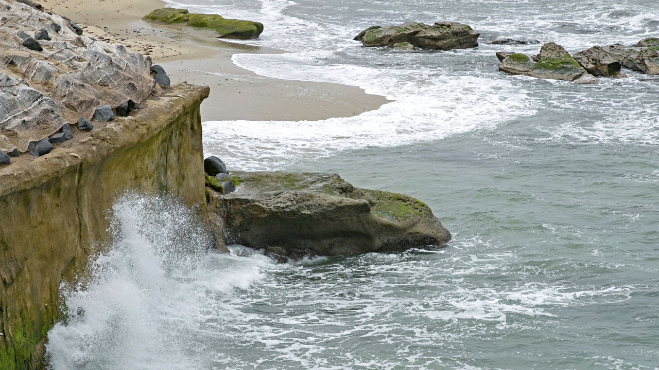 Photo of Others in Ocean Beach