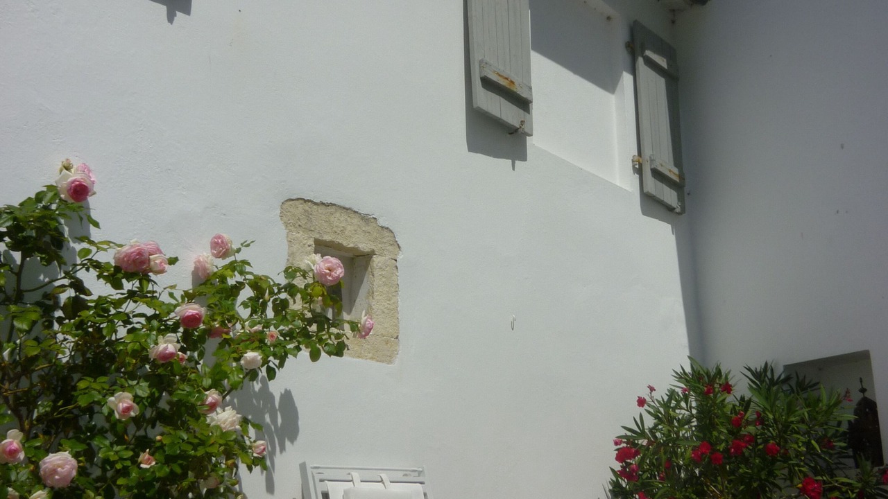 Photo of Outdoor in La Couarde-sur-Mer