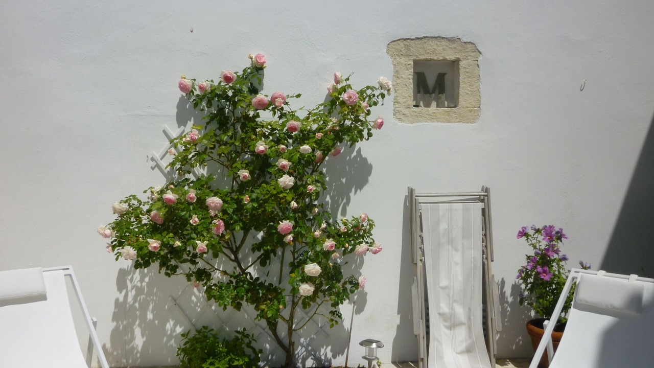 Photo of Patio Balcony in La Couarde-sur-Mer