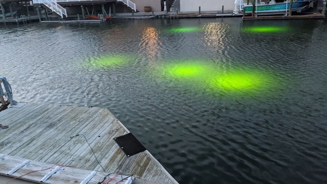 Photo of Outdoor in Corpus Christi