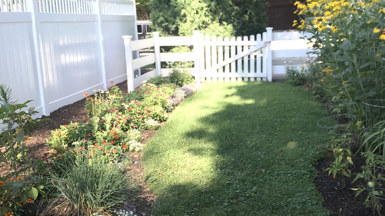 Photo of Outdoor in Naperville