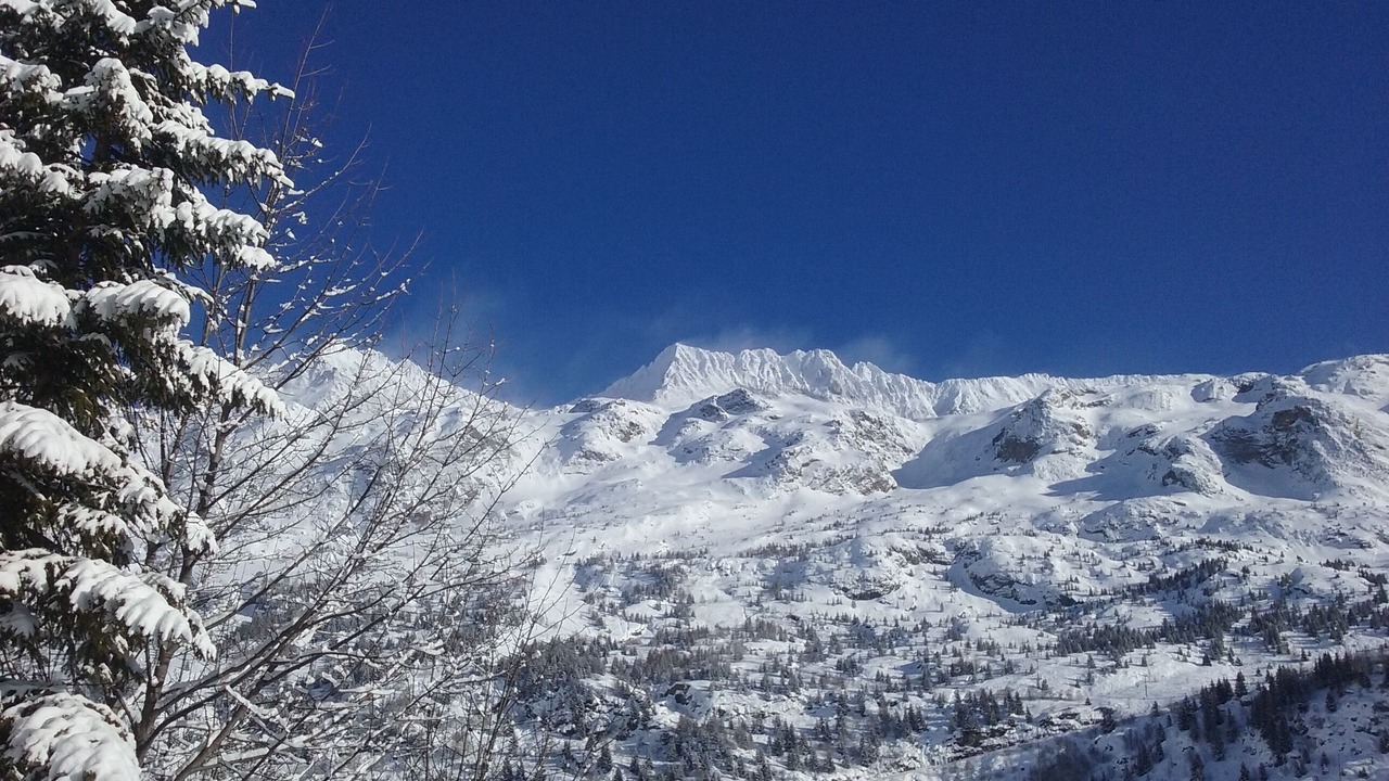 Photo of Others in Vaujany