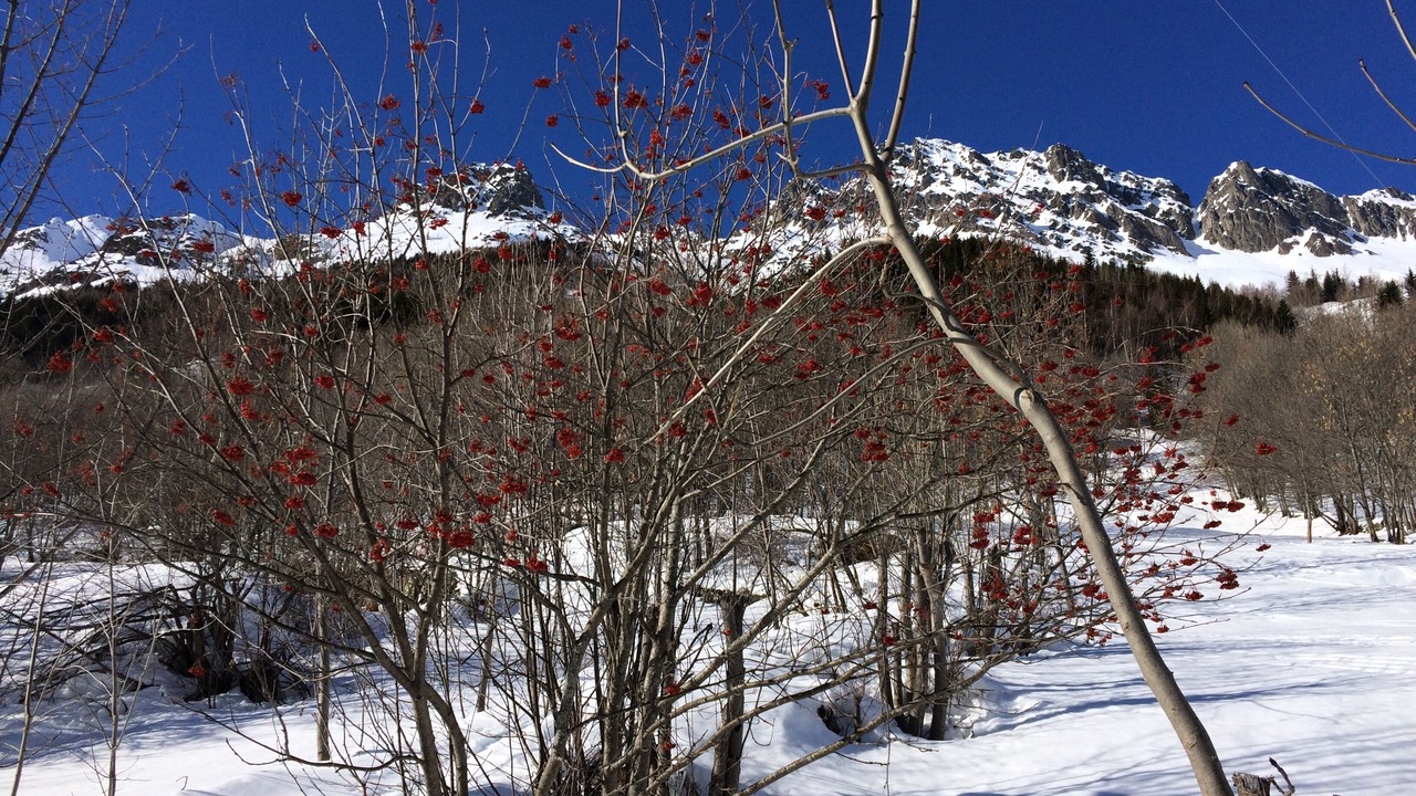 Photo of Others in Vaujany