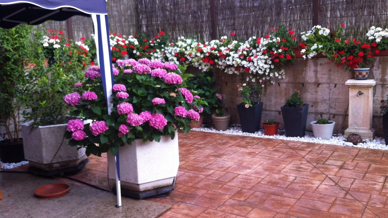 Photo of Outdoor in Ezcaray