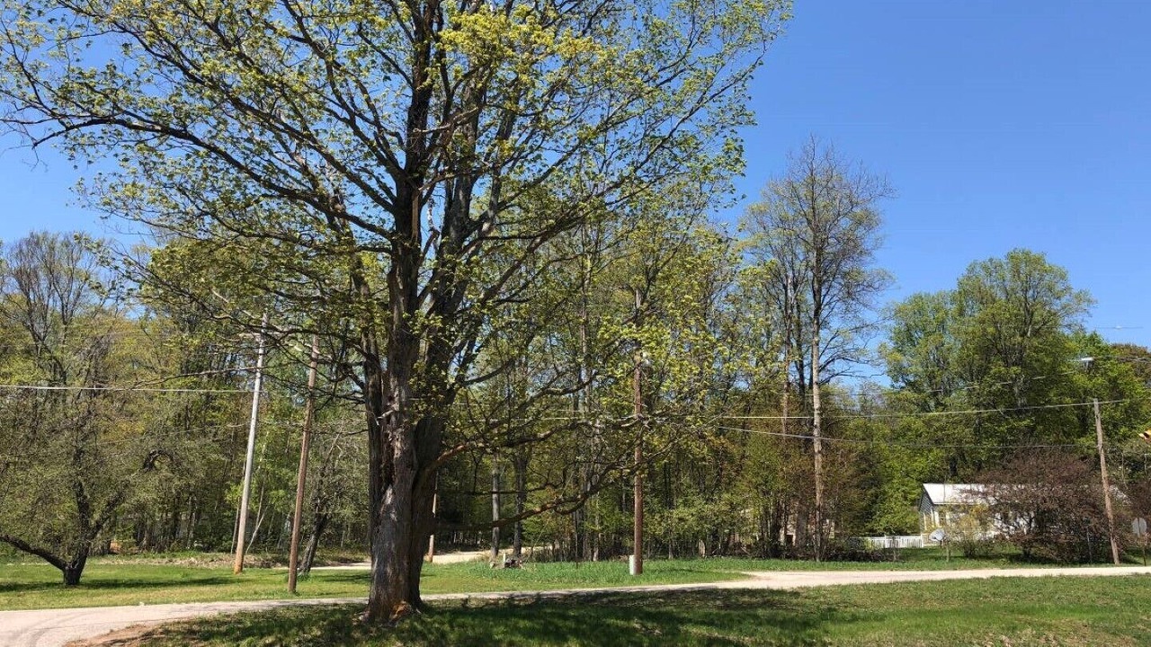 Photo of Outdoor in Walloon Lake