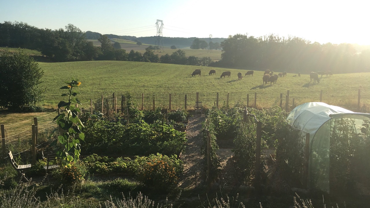 Photo of Outdoor in Saint-Dizier-Leyrenne