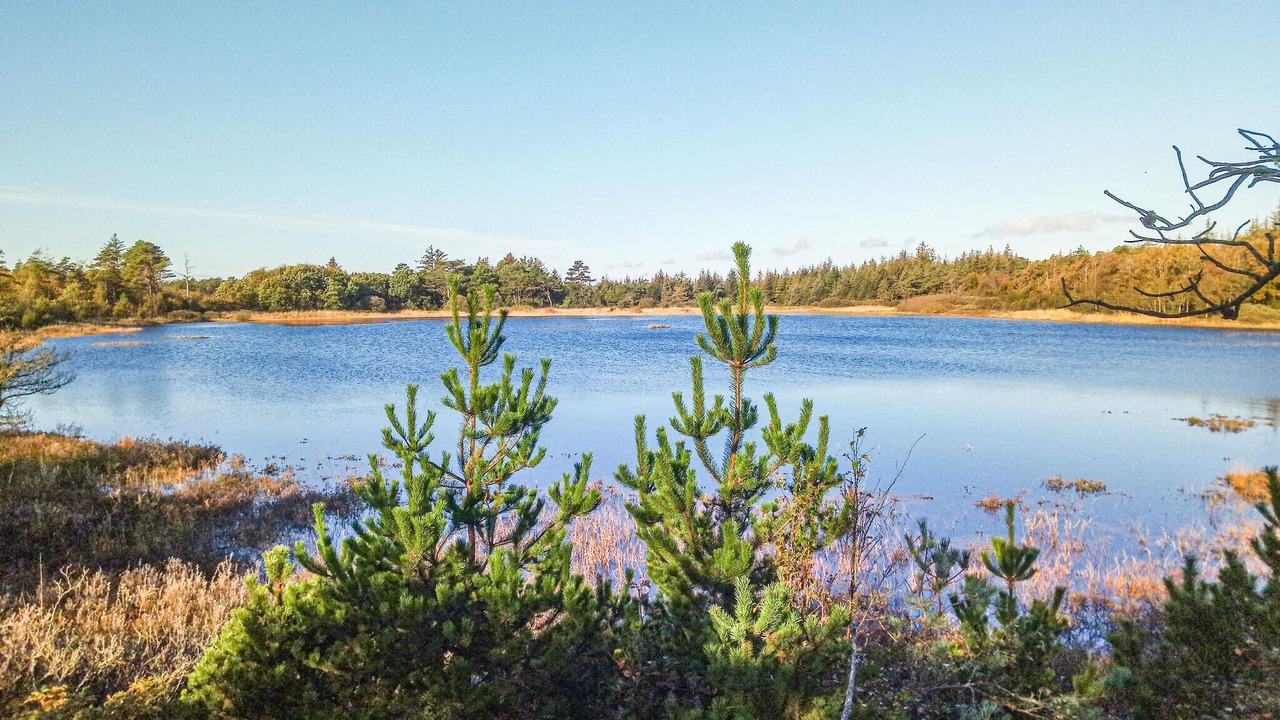 Photo of Others in Svankær