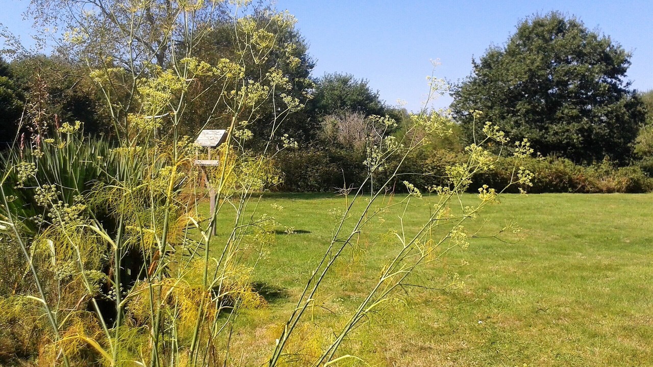 Photo of Outdoor in Langonnet