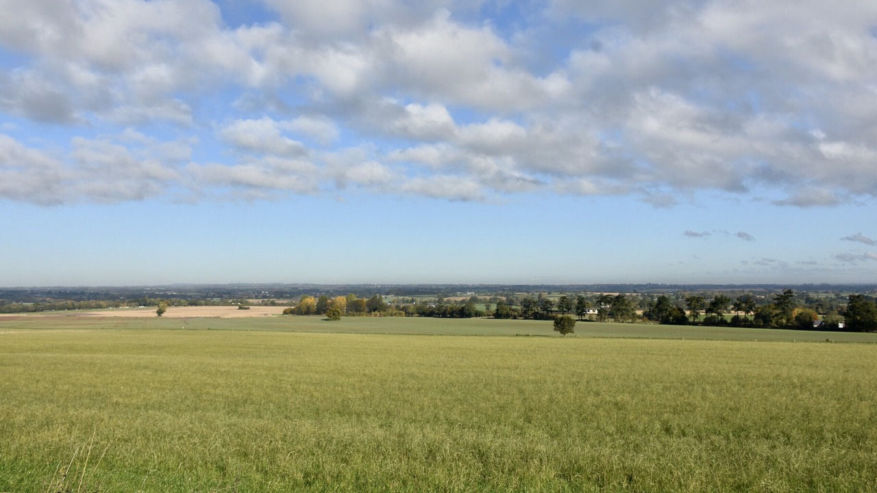 Photo of Others in Wollerton