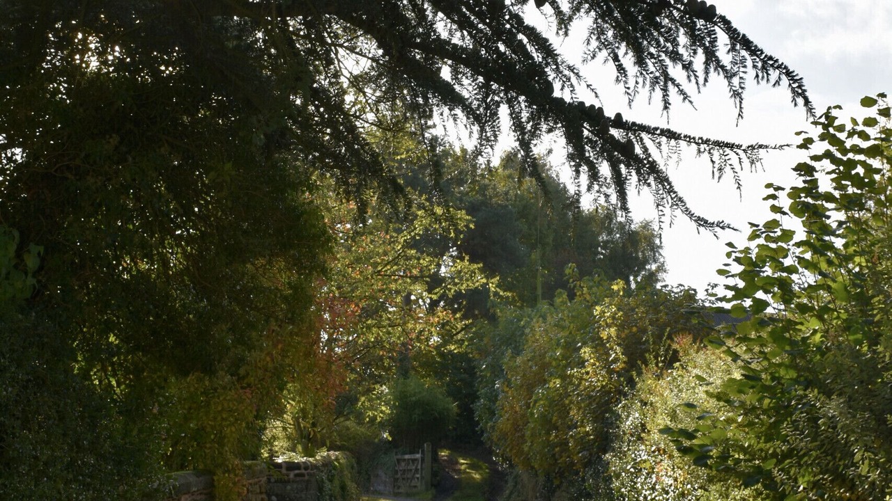 Photo of Others in Wollerton