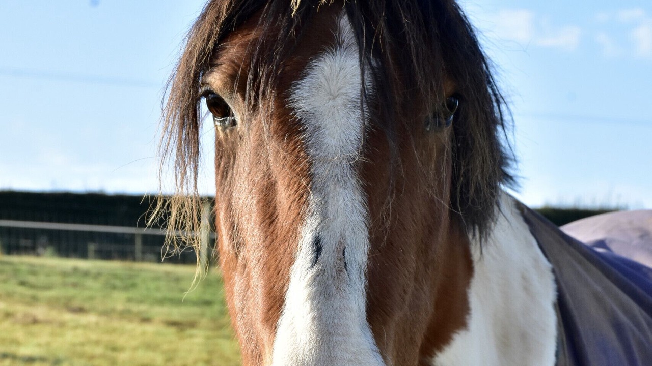 Photo of Others in Wollerton