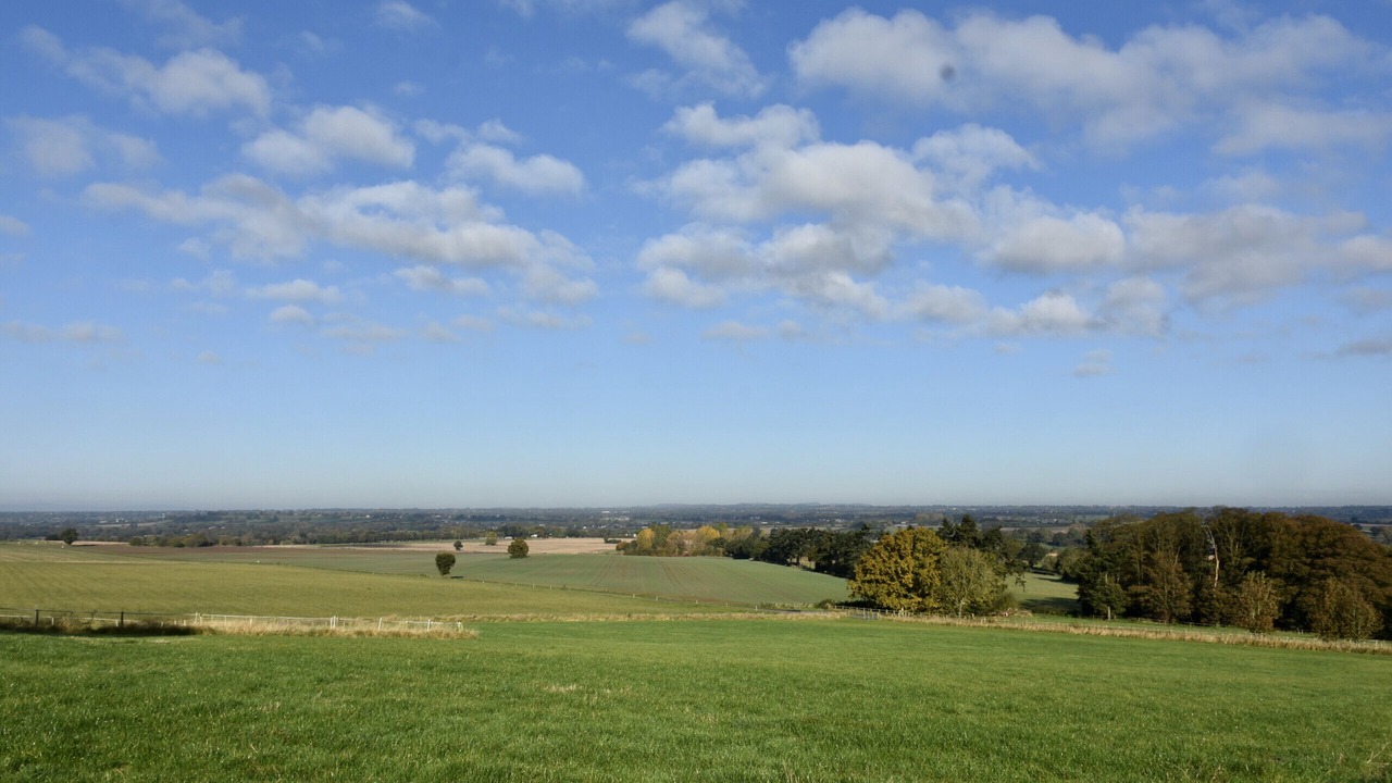 Photo of Others in Wollerton