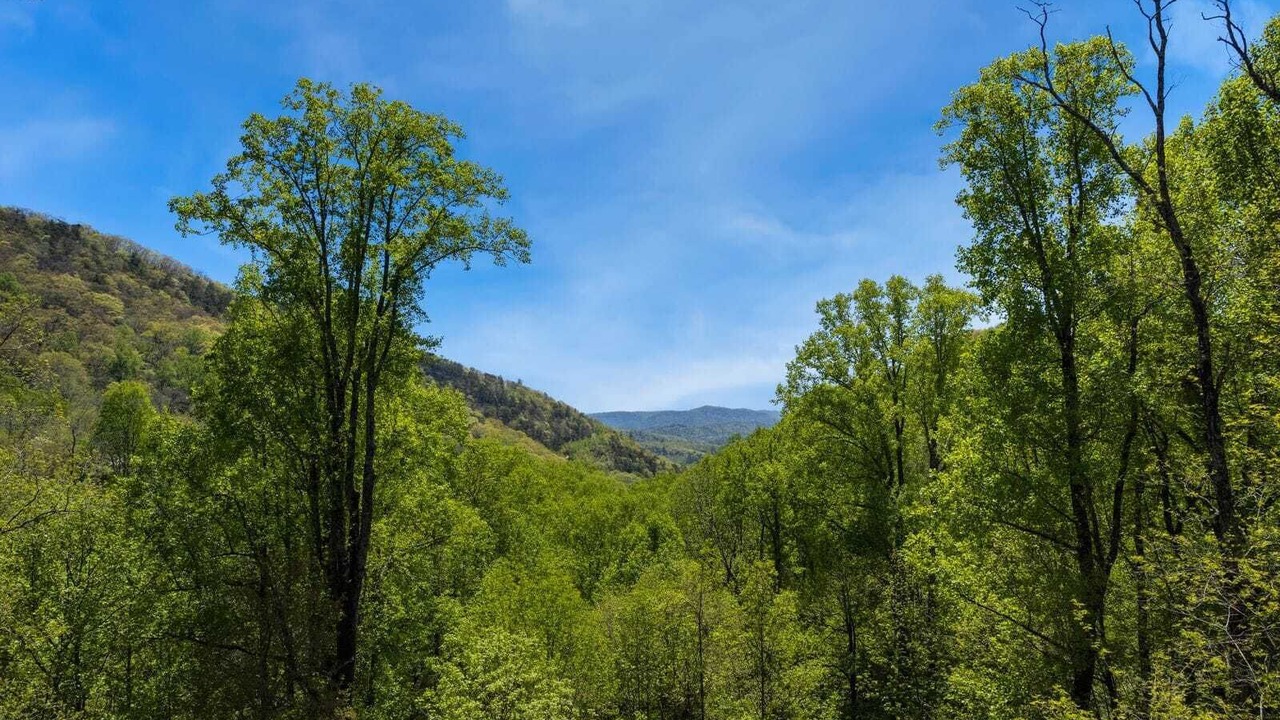 Photo of Others in Boone