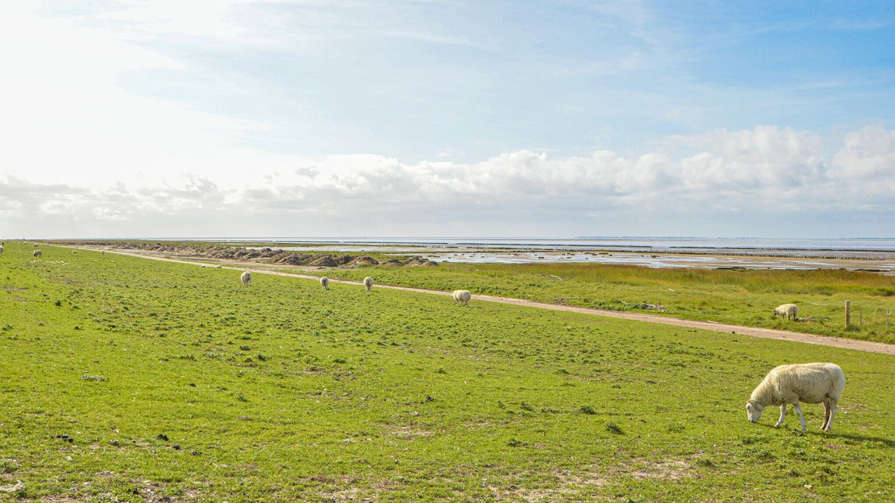 Photo of Others in Tonder