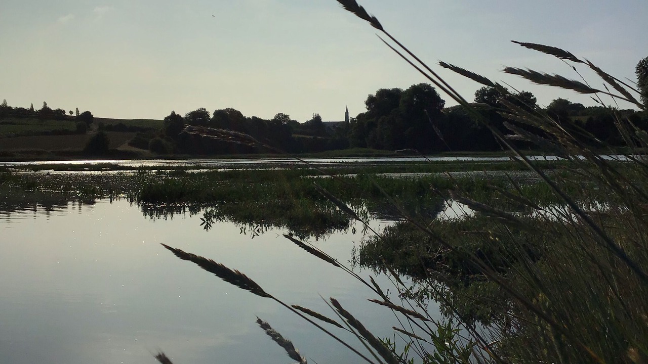 Photo of Others in Pleudihen-sur-Rance