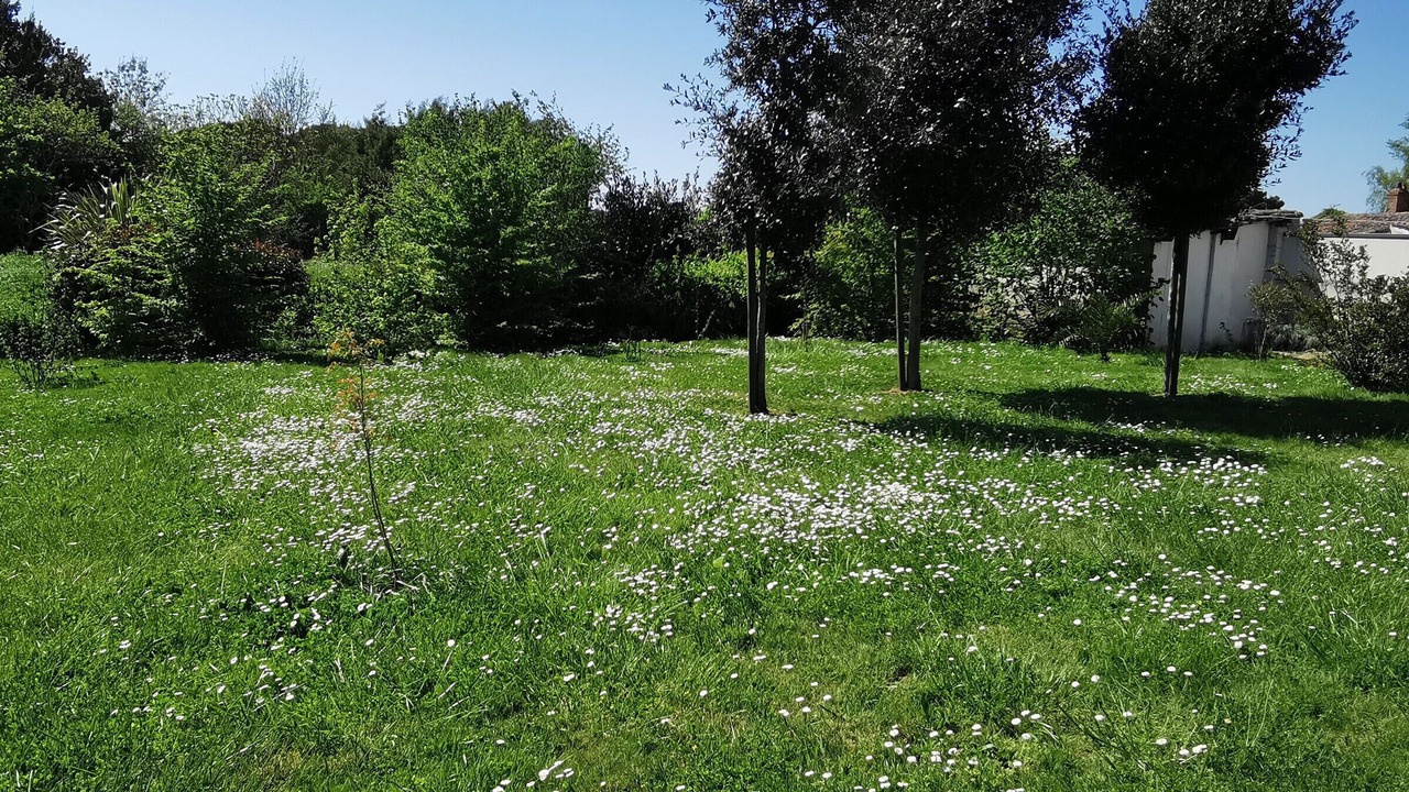Photo of Outdoor in Le Bernard