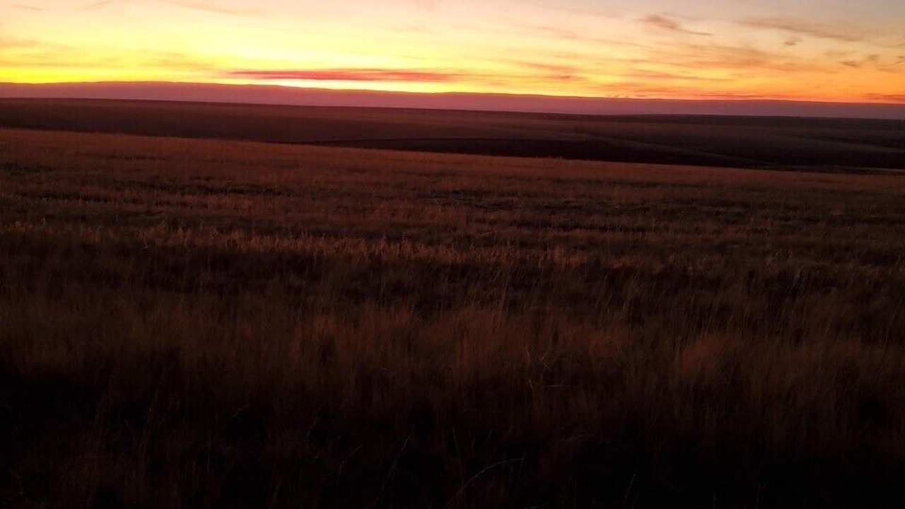 Photo of Others in Lewiston