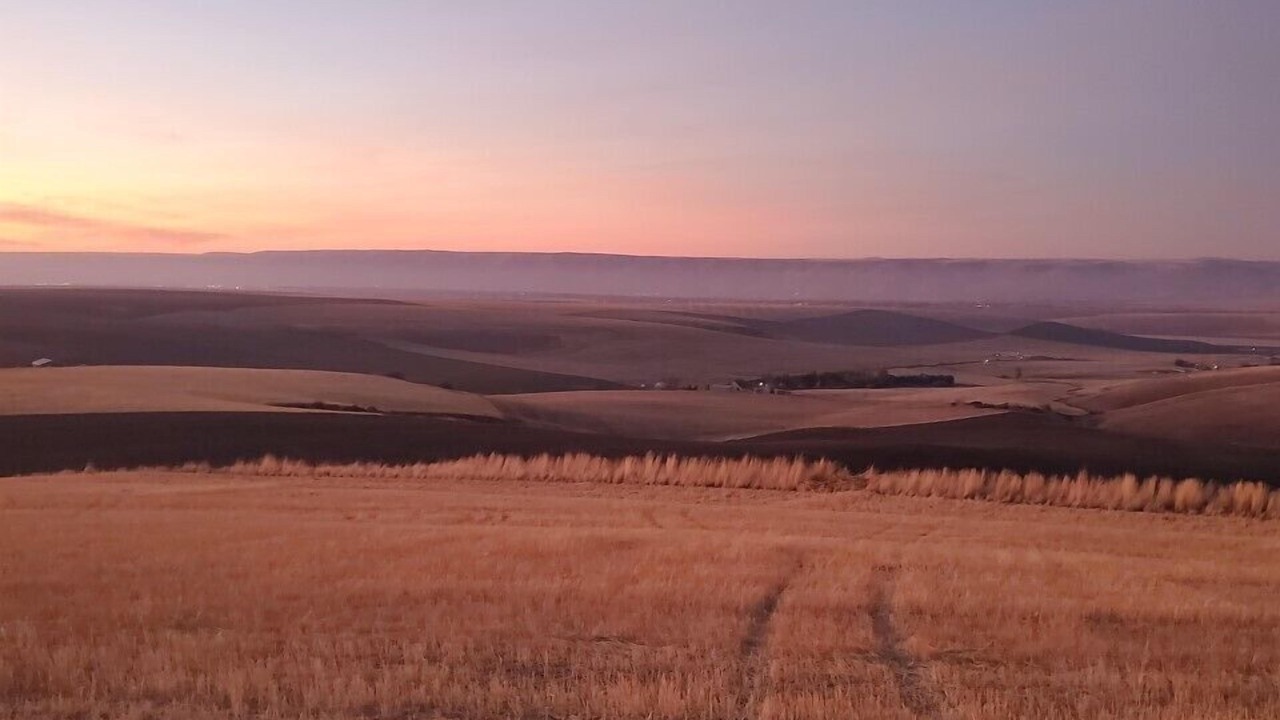 Photo of Others in Lewiston