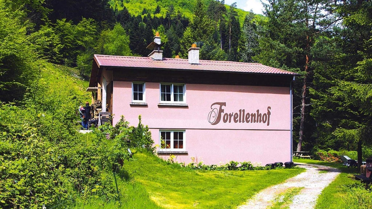 Photo of Outdoor in Pays de Phalsbourg