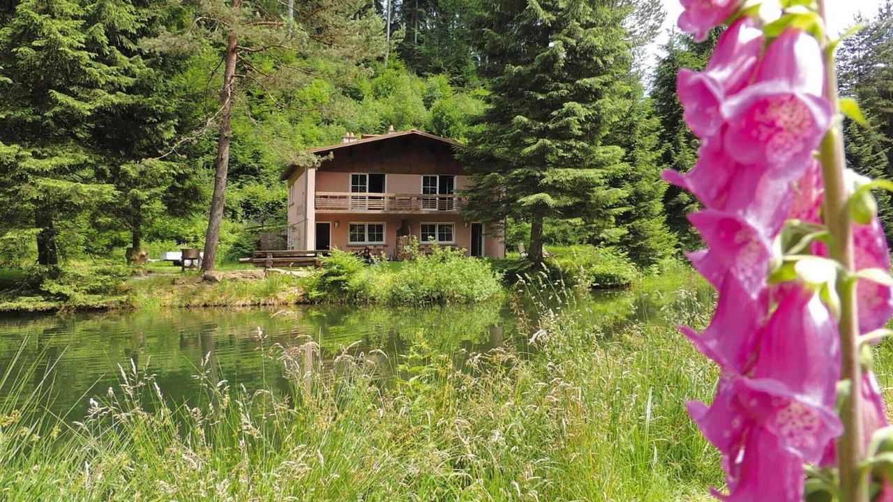 Photo of Others in Pays de Phalsbourg