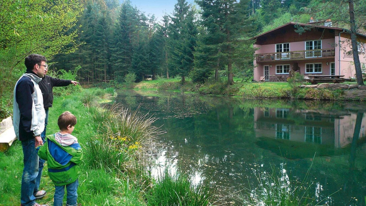 Photo of Others in Pays de Phalsbourg