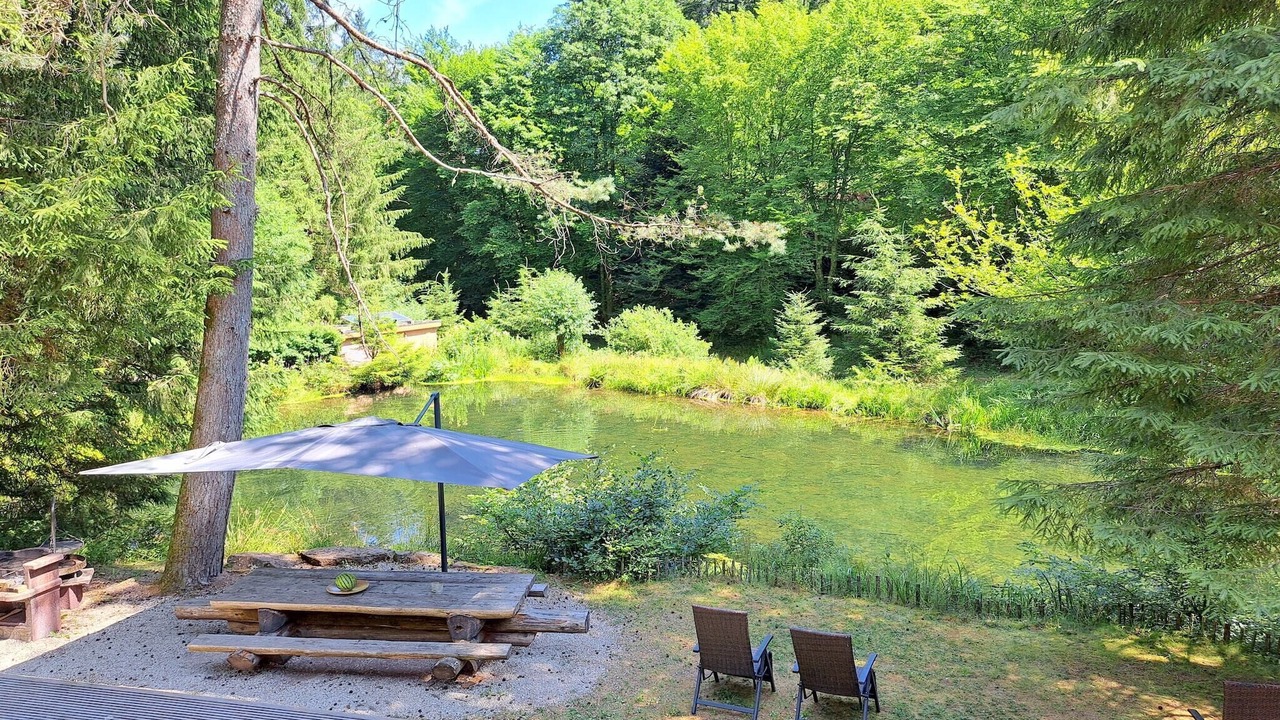 Photo of Others in Pays de Phalsbourg