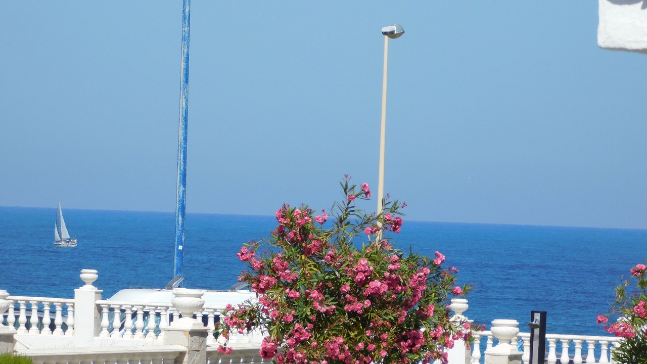 Photo of Others in La Zenia