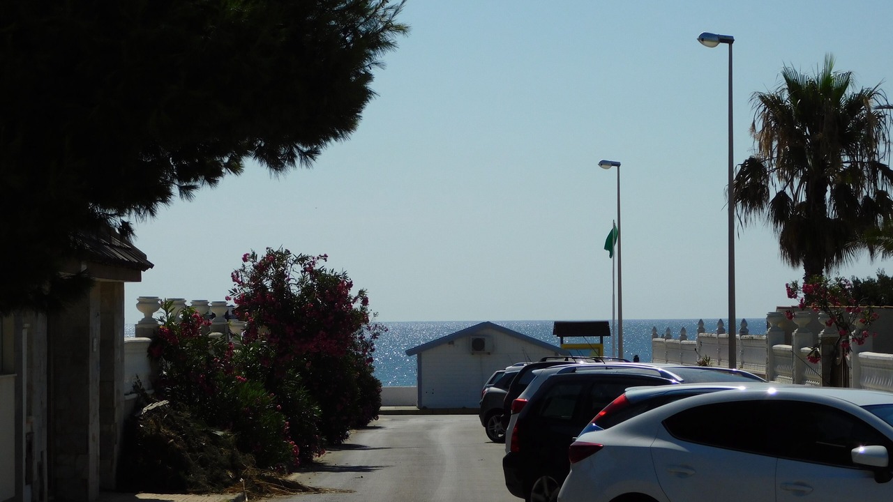 Photo of Others in La Zenia