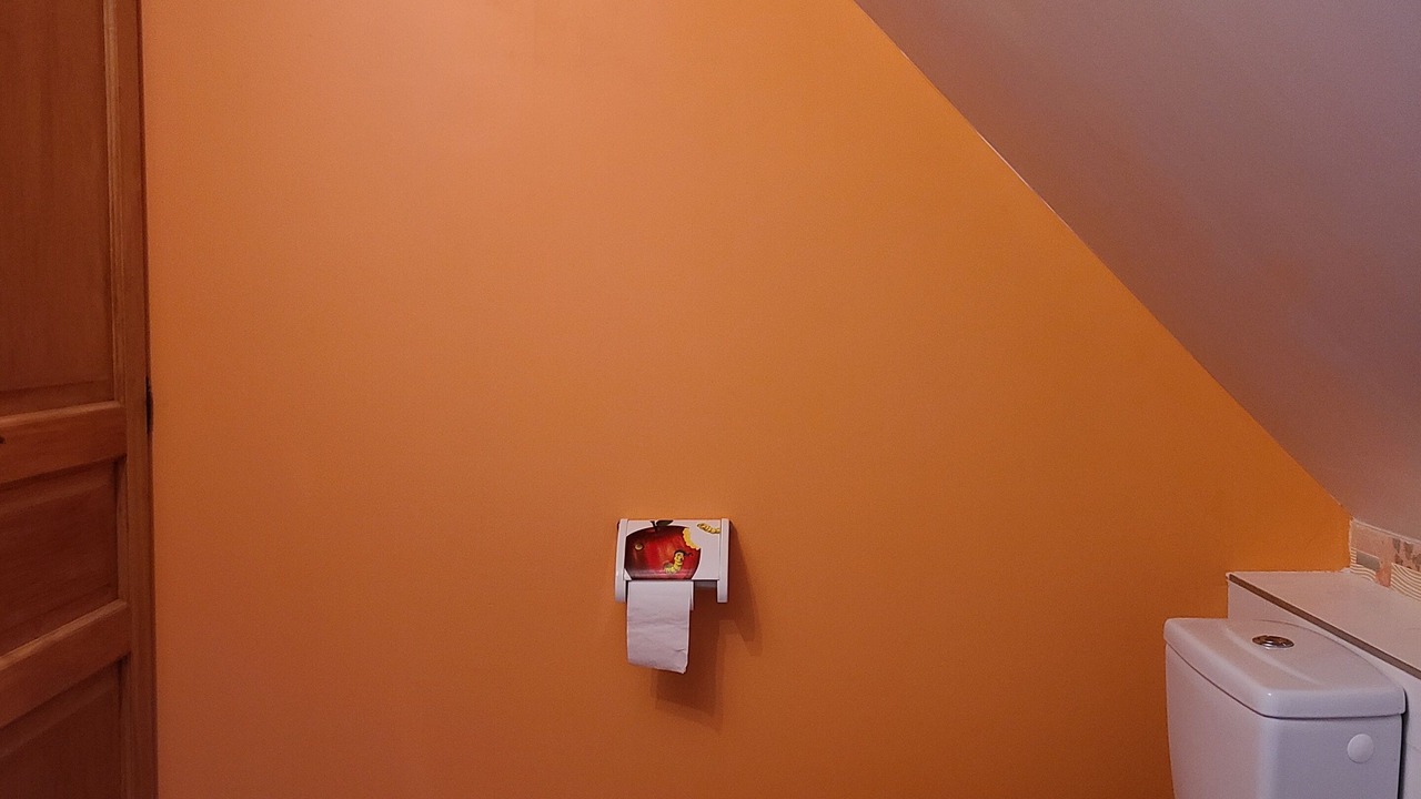 Photo of Bathroom in Vignec