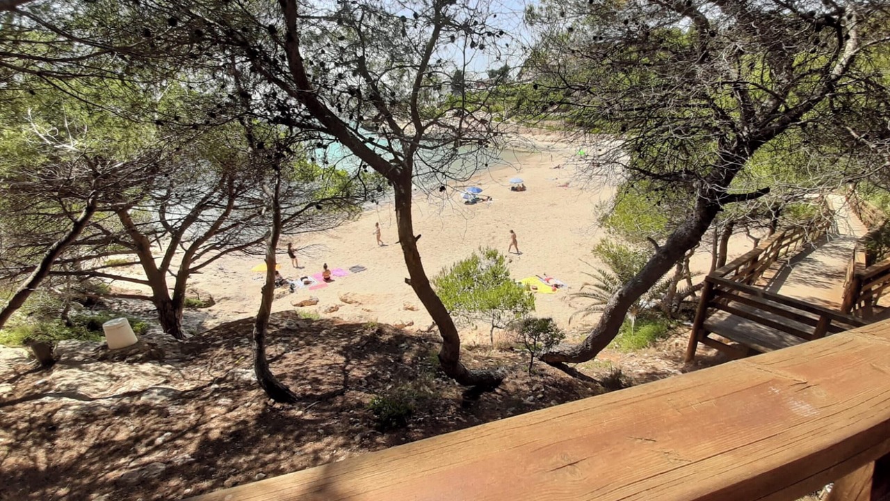 Photo of Others in Torredembarra