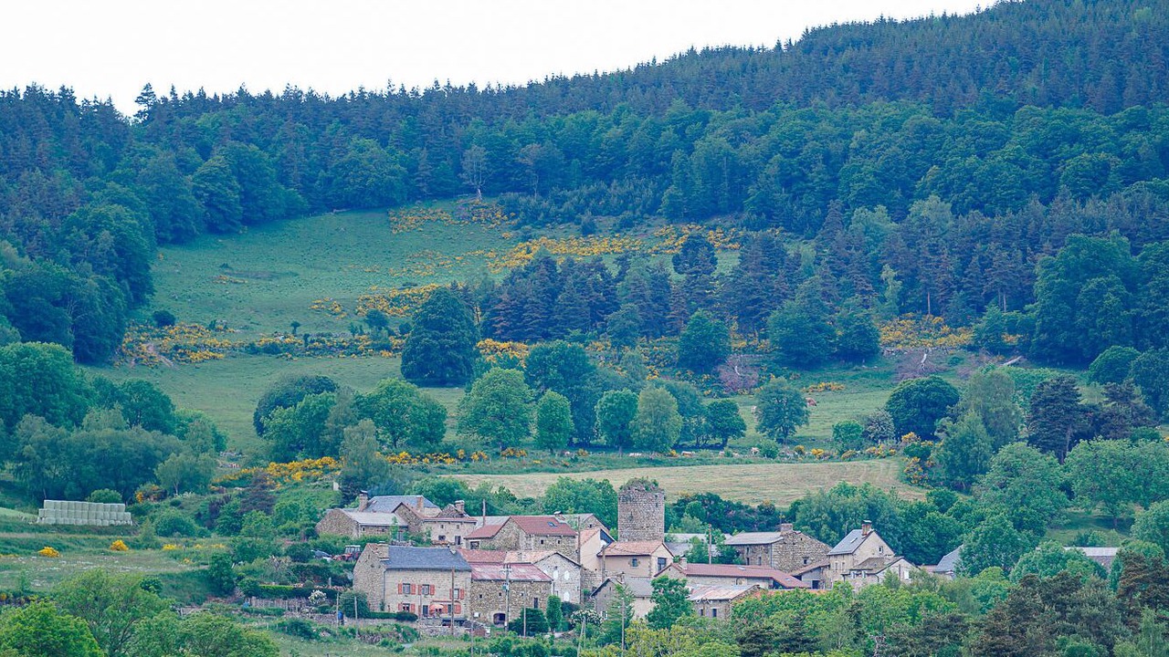 Photo of Outdoor in Le Malzieu-Forain