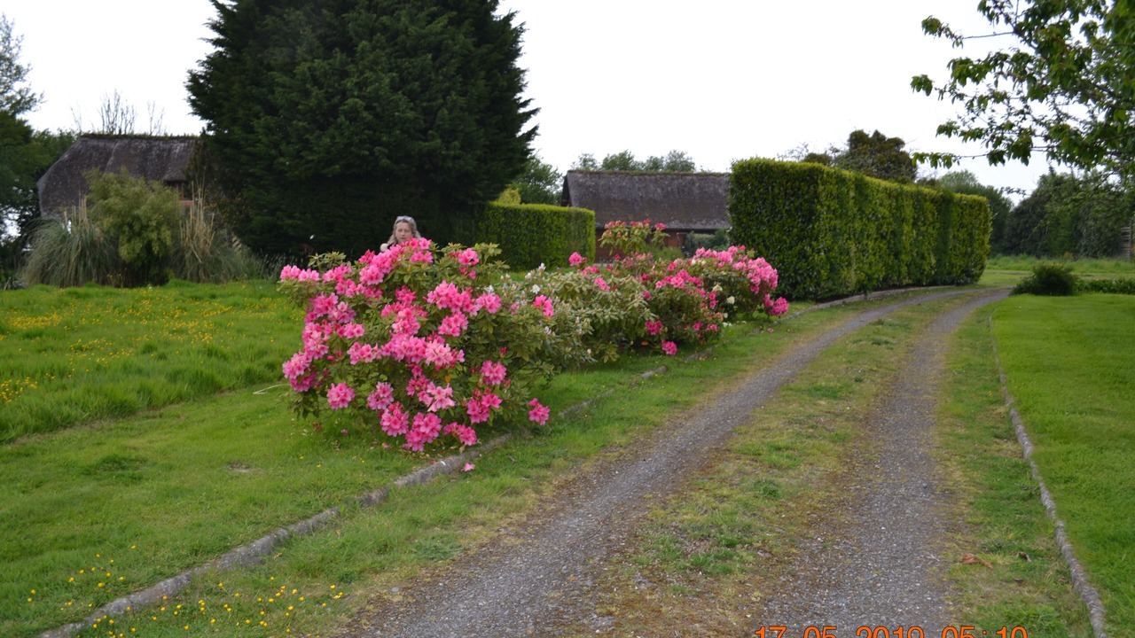 Photo of Outdoor in Bonneville-la-Louvet