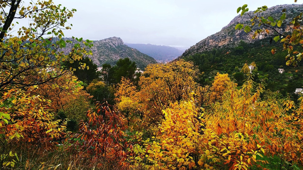 Photo of Outdoor in Anduze