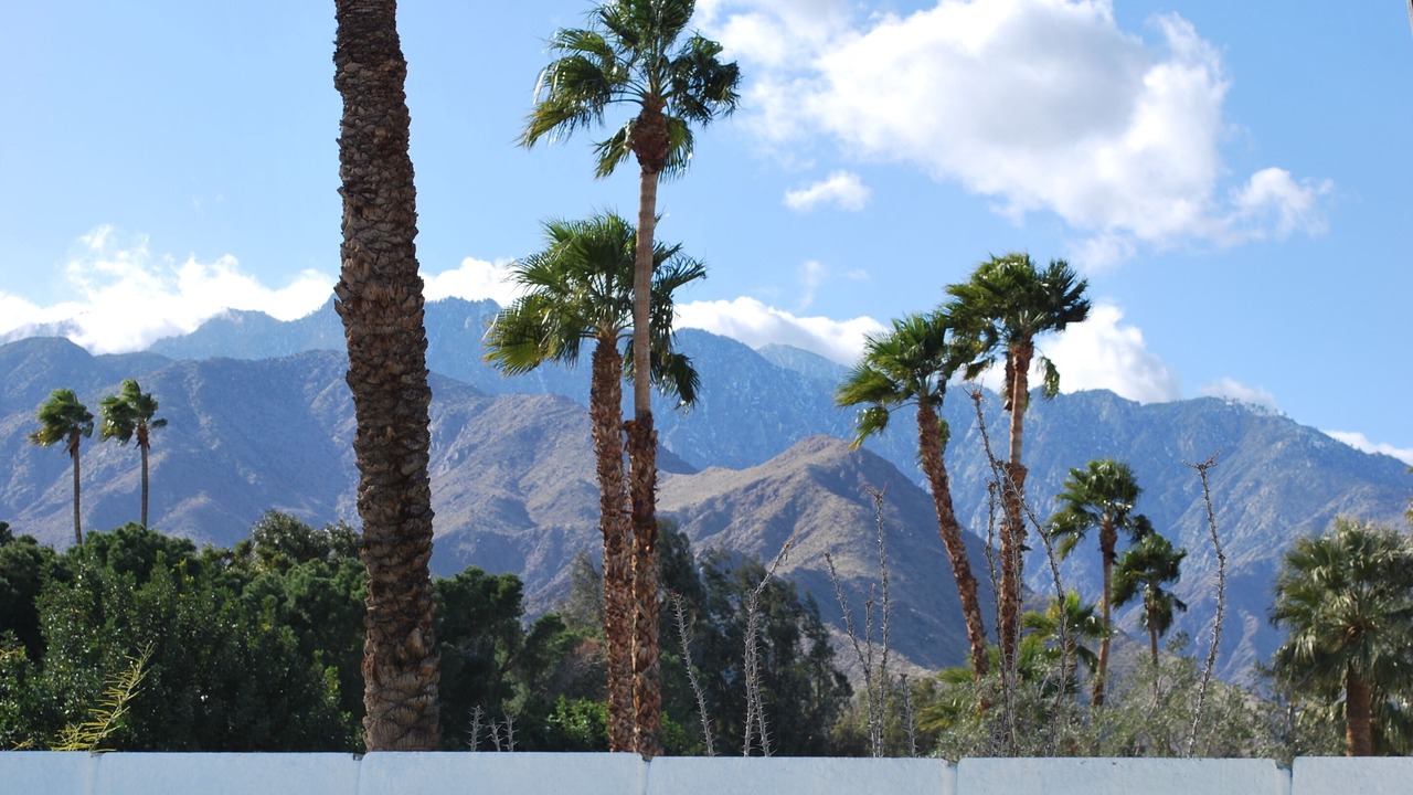 Photo of Others in Racquet Club Estates