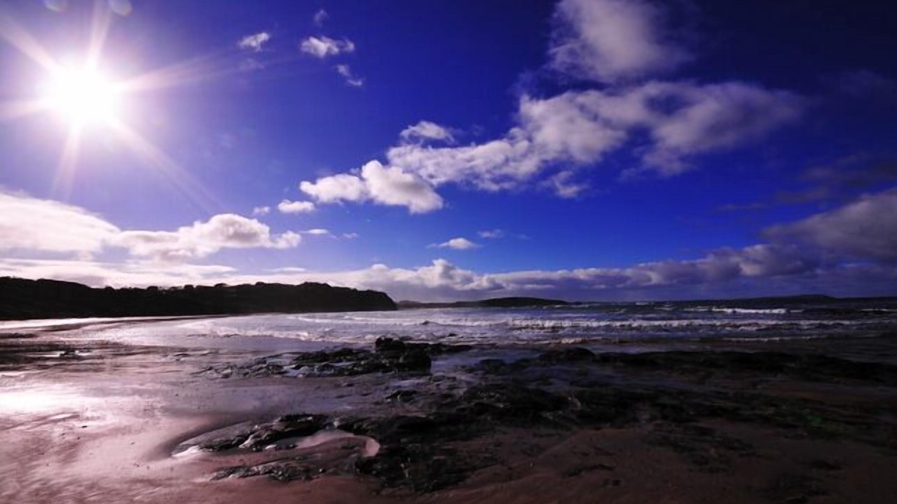 Photo of Others in Sunset Strip
