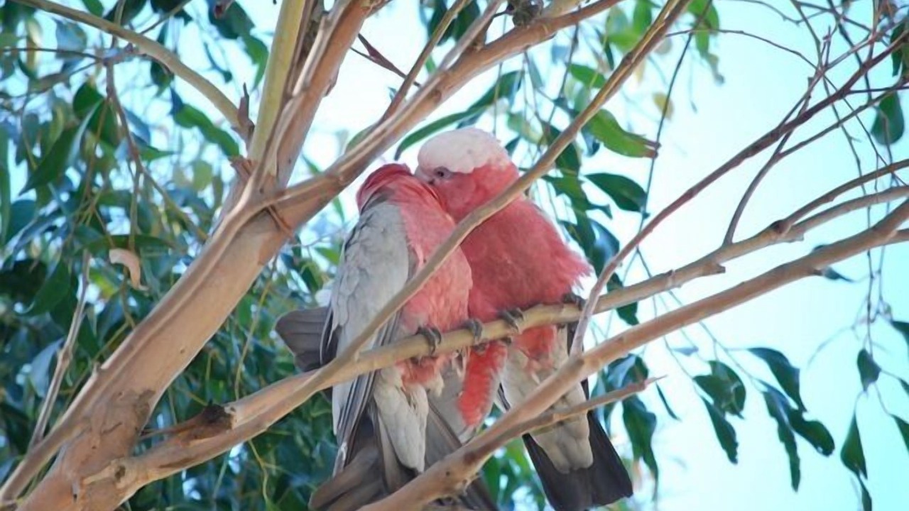 Photo of Outdoor in Sunset Strip