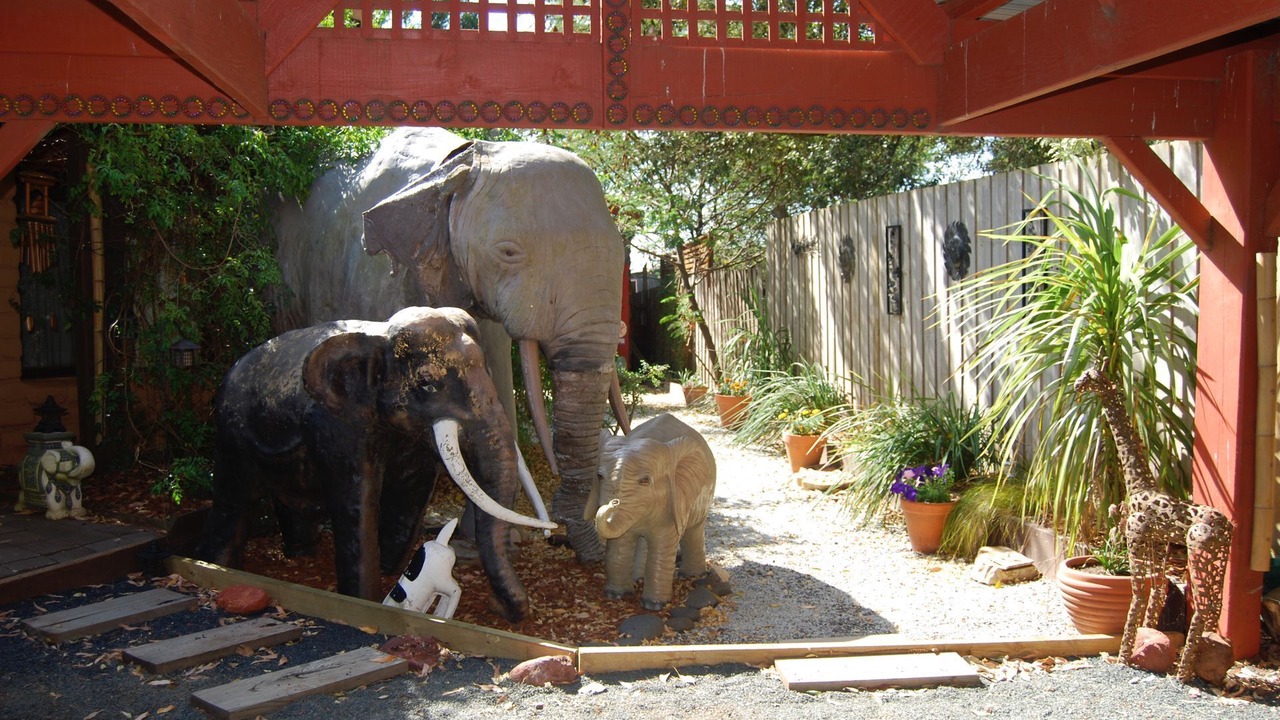 Photo of Outdoor in Sunset Strip