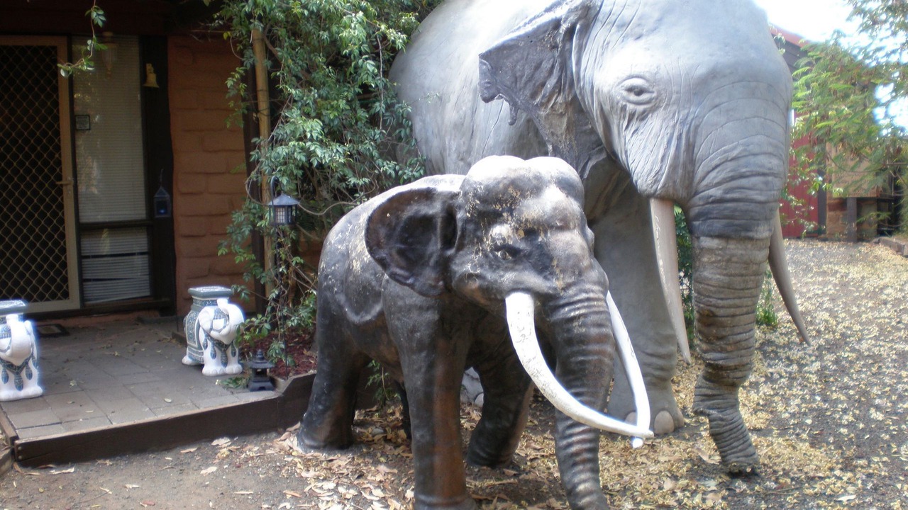 Photo of Outdoor in Sunset Strip