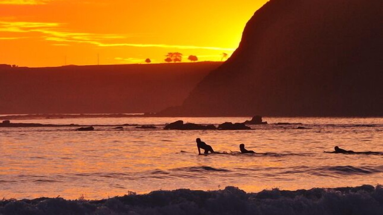 Photo of Others in Sunset Strip