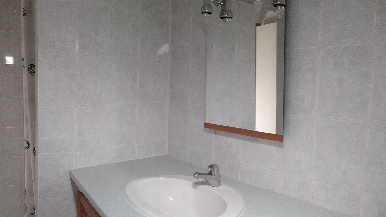 Photo of Bathroom in Joyeuse