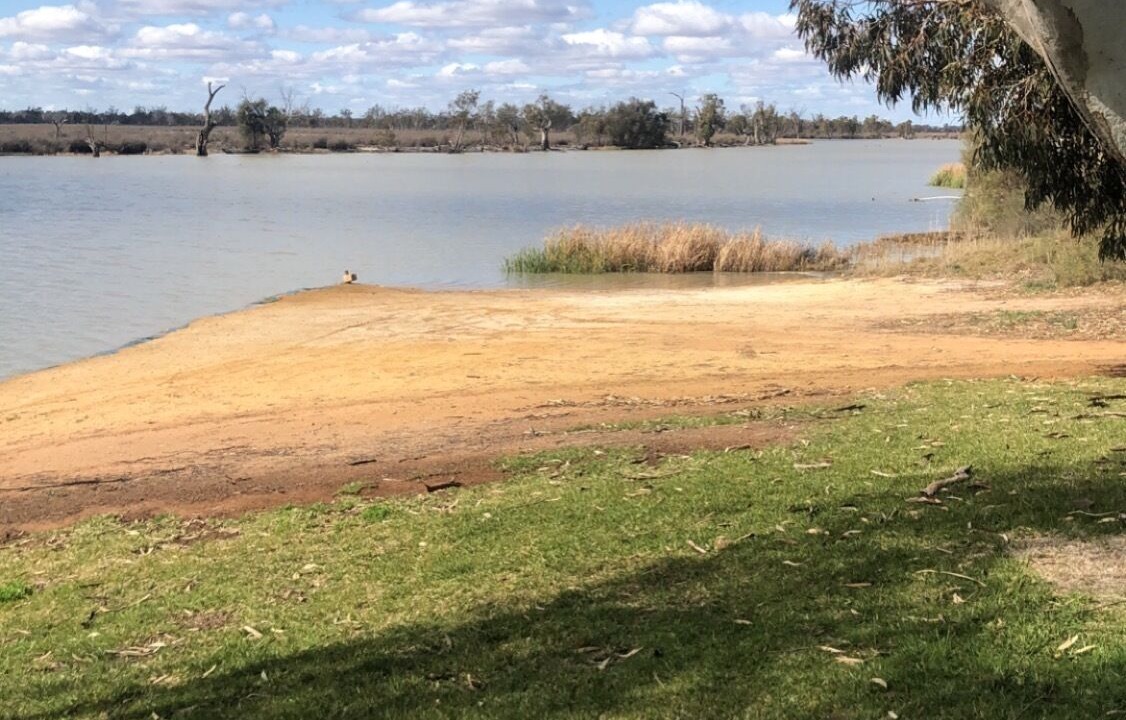 Photo of Others in Pyap