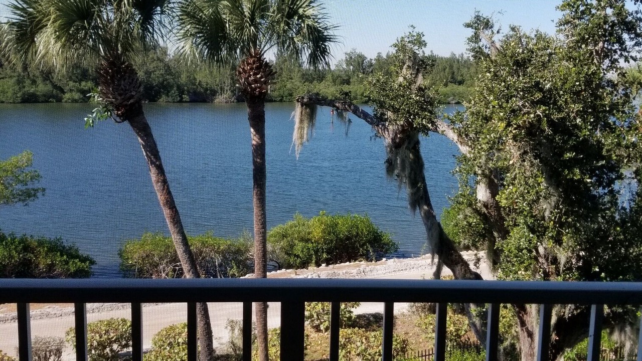 Photo of Outdoor in Wabasso Beach