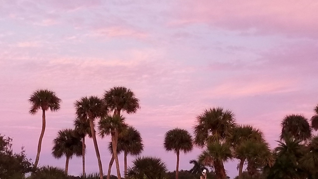 Photo of Others in Wabasso Beach