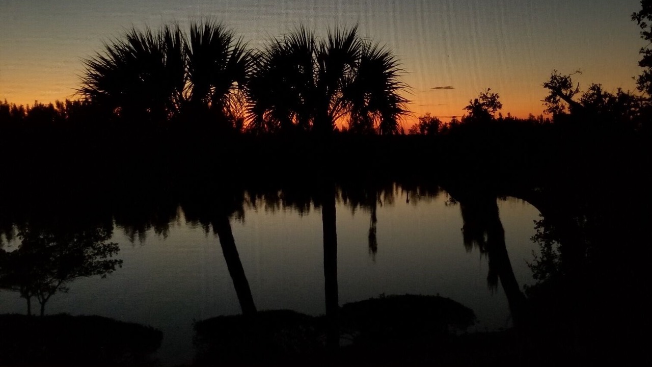 Photo of Outdoor in Wabasso Beach
