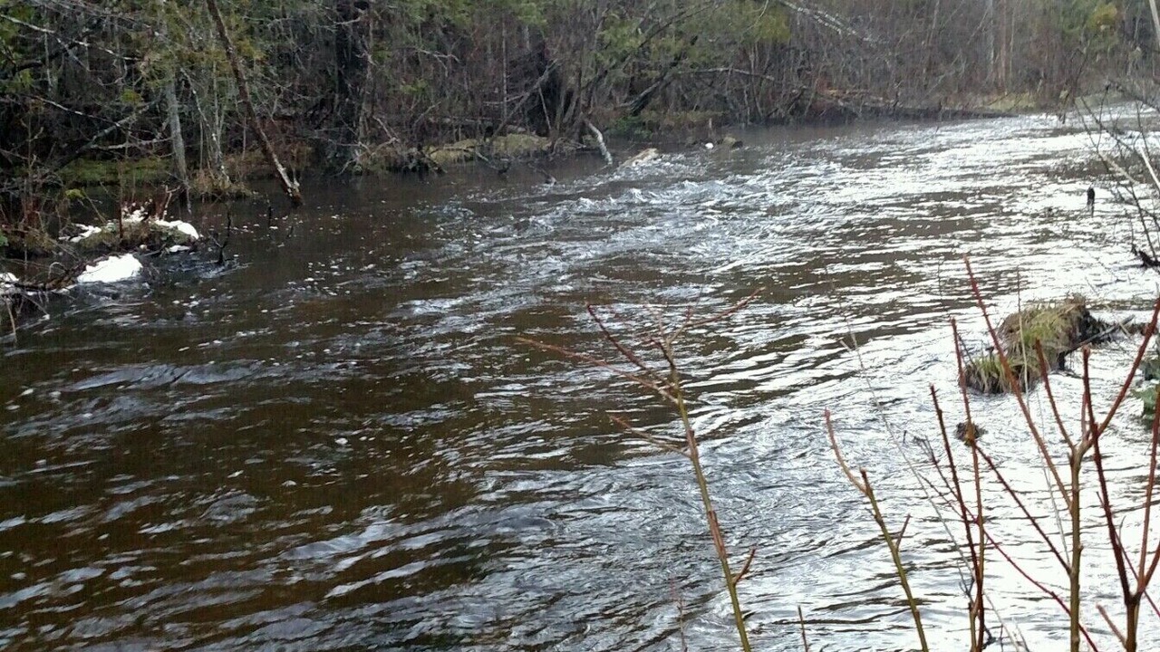 Photo of Outdoor in Frederic