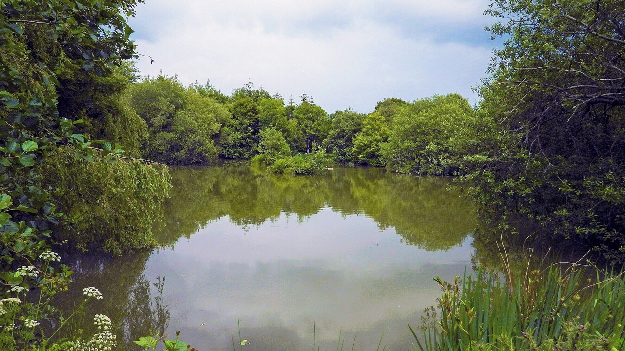 Photo of Others in Beaworthy